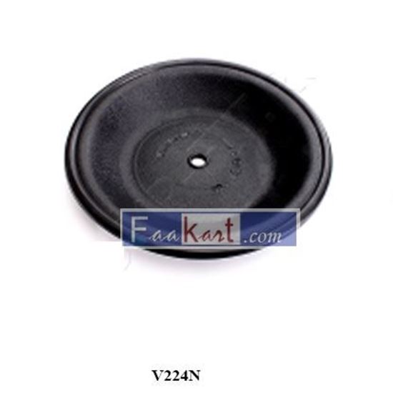 Picture of V224N   2" pump diaphragm, CR