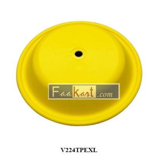 Picture of V224TPEXL   diaphragm