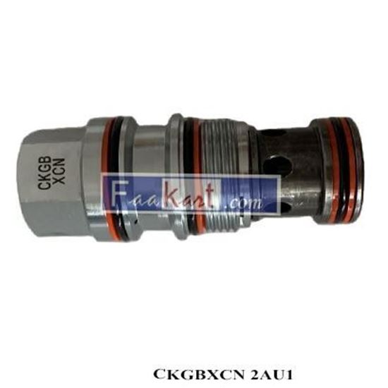 Picture of CKGBXCN 2AU1 SUN CHECK VALVE