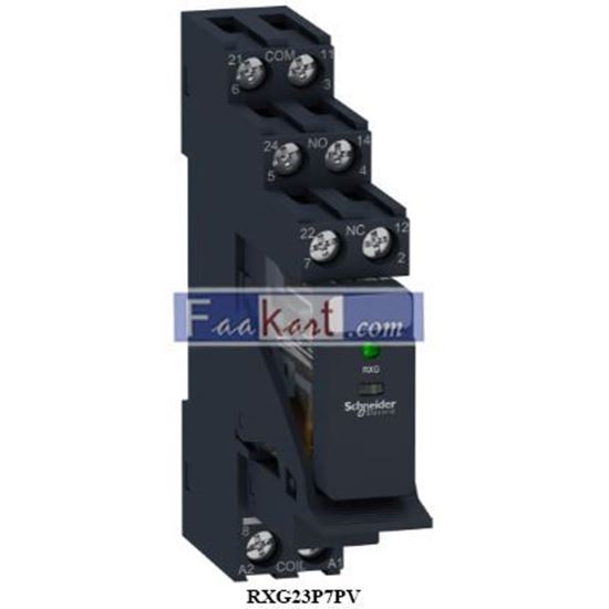 Picture of RXG23P7PV  Schneider Electric  Interface plug in relay pre assembled, Harmony, 5A, 2CO, with LED, 230V AC