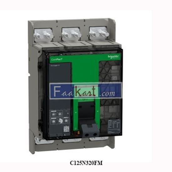 Picture of C125N320FM Schneider Circuit breaker