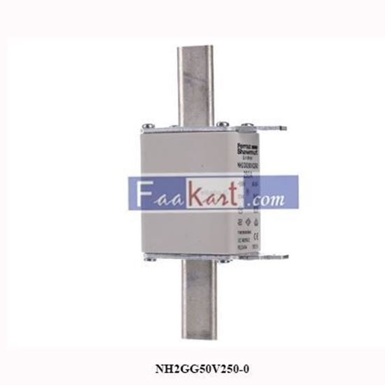 Picture of NH2GG50V250-0   Fuse status indicator