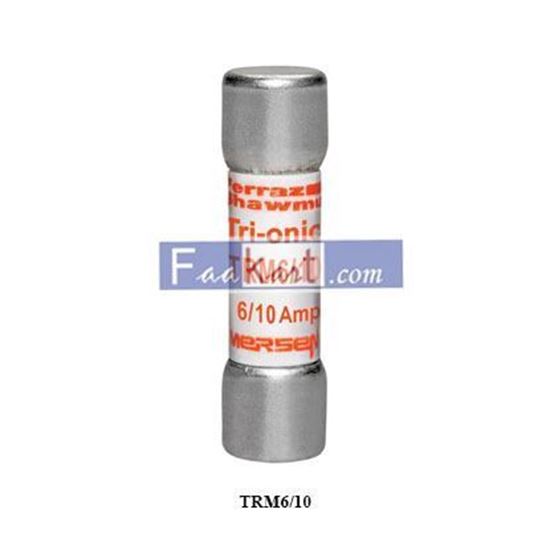 Picture of TRM6/10 Mersen Fuse